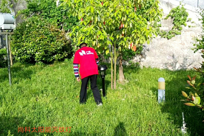 戶外草坪滅蚊器，草坪太陽能滅蚊燈