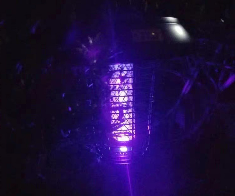 滅蚊燈效果，夜晚亮紫光的戶外滅蚊燈