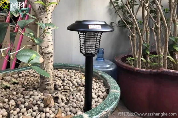 陽(yáng)臺(tái)花盆中的黑色小飛蟲(chóng)怎么消滅？